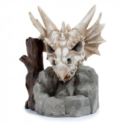 Drachenwächter -...