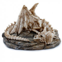 Vergessener Drache -...
