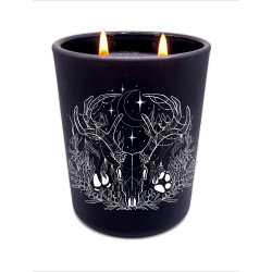 Sojawachskerze The Druid 250ml