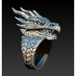 Silberner Ring Drach...