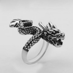 Silberner Ring...