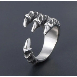 Silberner Ring Ring...