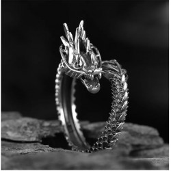 Silberner Ring Drachen Zorn...