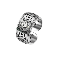Silberner Ring Glücks Münze...
