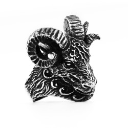 Silberner Ring Verfluchter...