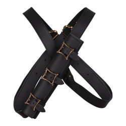 LEDER FULGOR SYSTEM MIT...