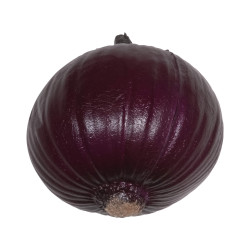FIOLETOWA CEBULA ZORA -...