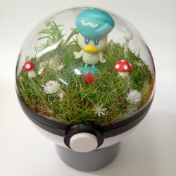 QUAXLY - POKEBALL TERRARIUM...