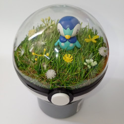 PIPLUP - POKEBALL TERRARIUM...