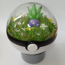 ODDISH - POKEBALL TERRARIUM...