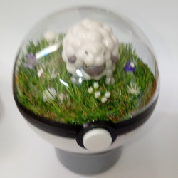WOOLOO - POKEBALL TERRARIUM...