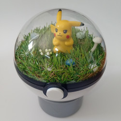 PIKACHU - POKEBALL...
