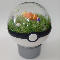 TORCHIC - POKEBALL...